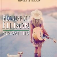 Because of Ellison by M.S. Willis