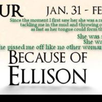 Because of Ellison by M.S. Willis Blog Tour