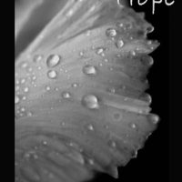 Review for Restoring Hope by C.P. Smith