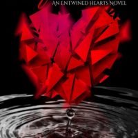 Review of Love Reflection (Entwined Hearts #1) by Maria MacDonald