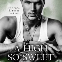 A High So Sweet by Dani Rene’ Release and Review