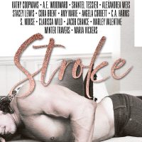 Cover Reveal:  Stroke: A Multi Author Novel