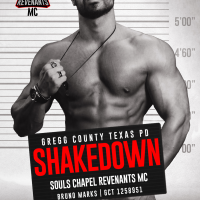 Shakedown by Lani Lynn Vale Release and Review