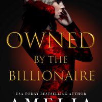 Owned By The Billionaire by Amelia Wilde Release and Review