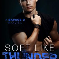 Cover Reveal: Soft Like Thunder by Julia Wolf