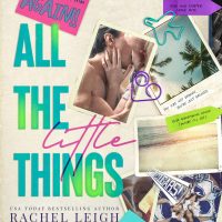 Blog Tour: All The Little Things by Rachel Leigh