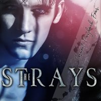 Blog Tour: The Stray by Erin Trejo