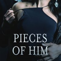 Blog Tour: Pieces of Him by Willow Woods