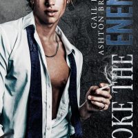 Cover Reveal: Smoke the Enemy by Gail Harris & Ashton Brooks