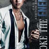 Smoke the Enemy by Ashton Brooks and Gail Harris Release and Review