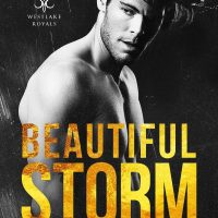 Beautiful Storm by Jaime Ellis Release and Review