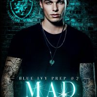 Mad Boys by Heather Long Release and Review