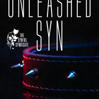 Unleashed Sin by Xavier Neal Release and Review