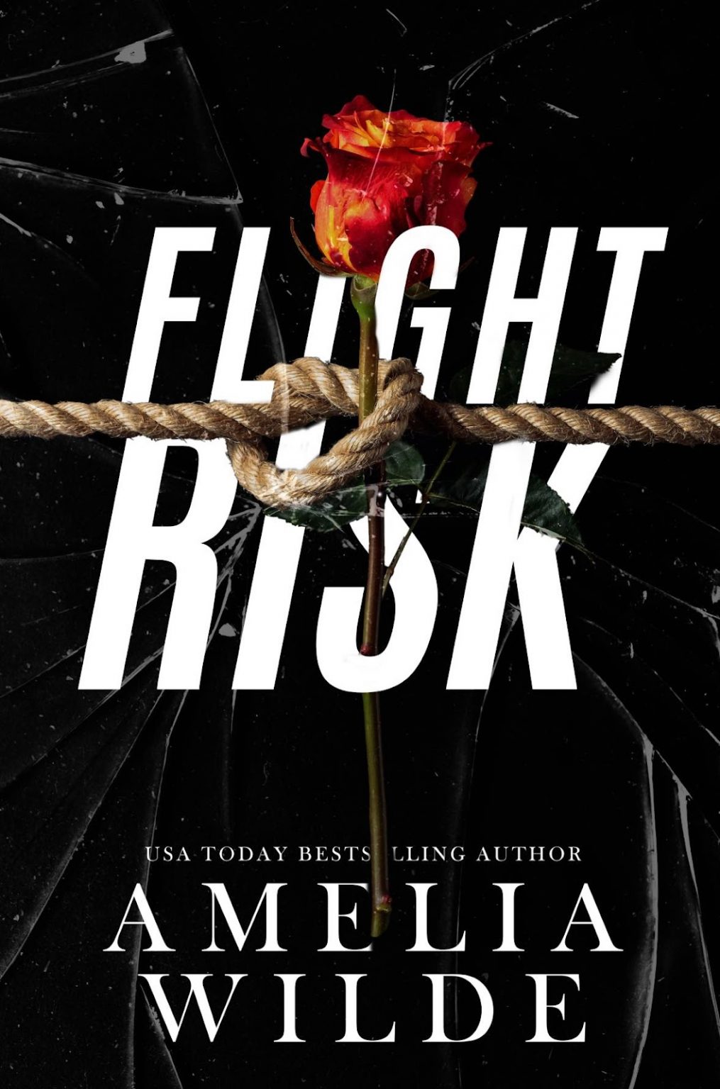 Flight risk. Amelia Wilde.