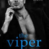 Blog Tour: The Viper Margaret McHeyzer