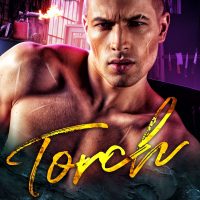 Cover Reveal: Torch by Lila Rose