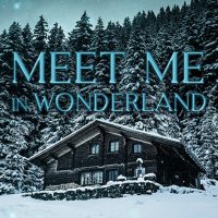 Blog Tour: Meet Me In Wonderland by Angel Anders