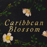 Blog Tour: Caribbean Blossom by Josephine Elaine