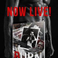 Blog Tour: Burn by Heather Long